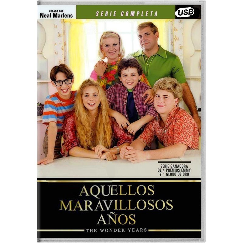 Serie Los Años Maravillosos 1988 USB