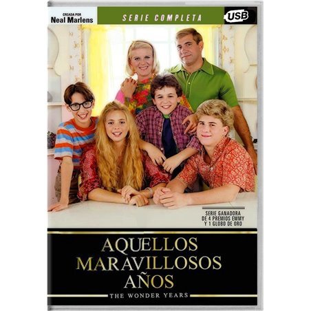 Serie Los Años Maravillosos 1988 USB